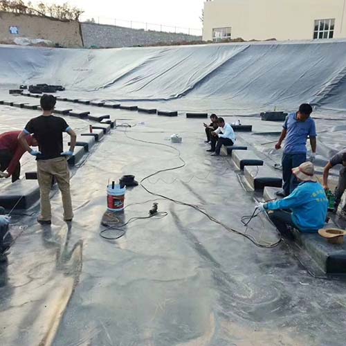 闃叉笚鑶? 闃叉笚鑶?